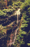 waterfall_3.gif
